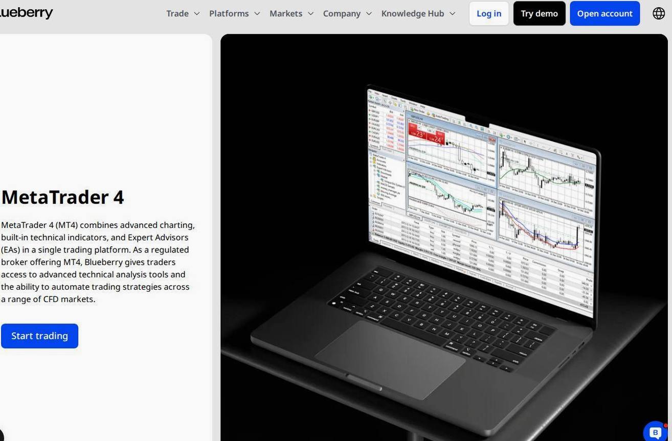 The platform page on the Blueberry Markets website